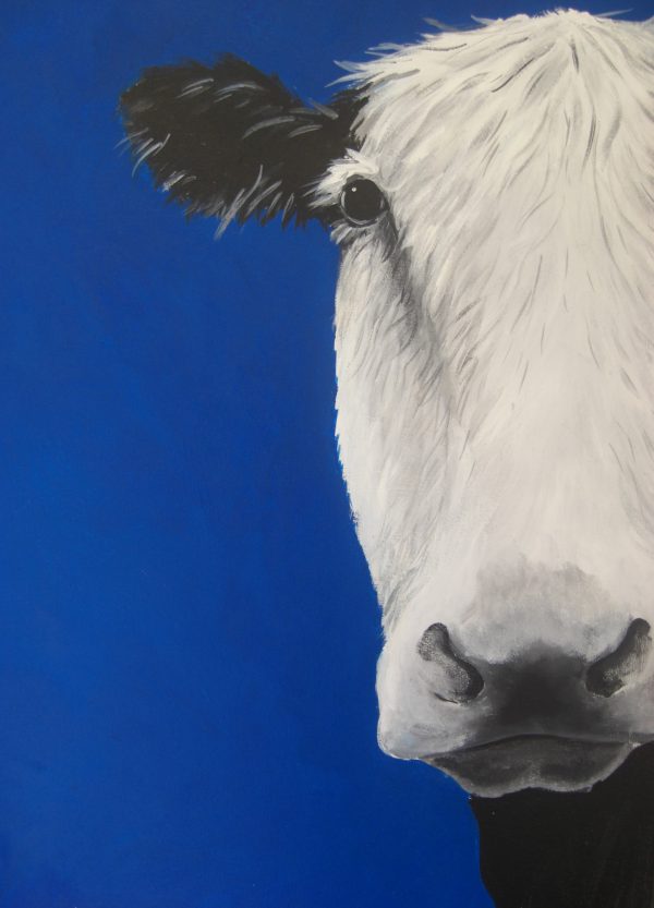 Blue Cow print