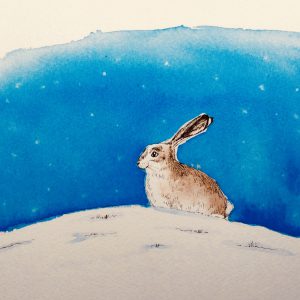 Night Time Hare print