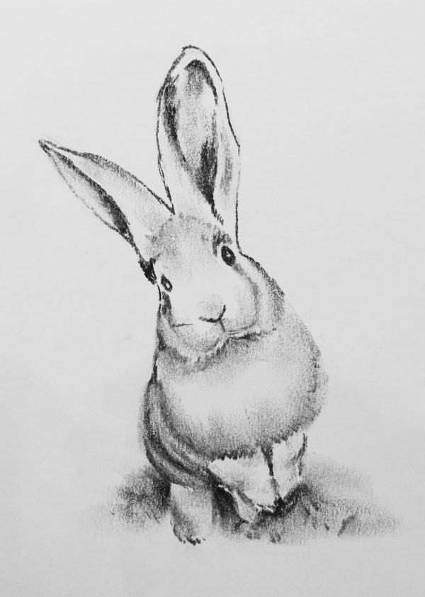 Rabbit print