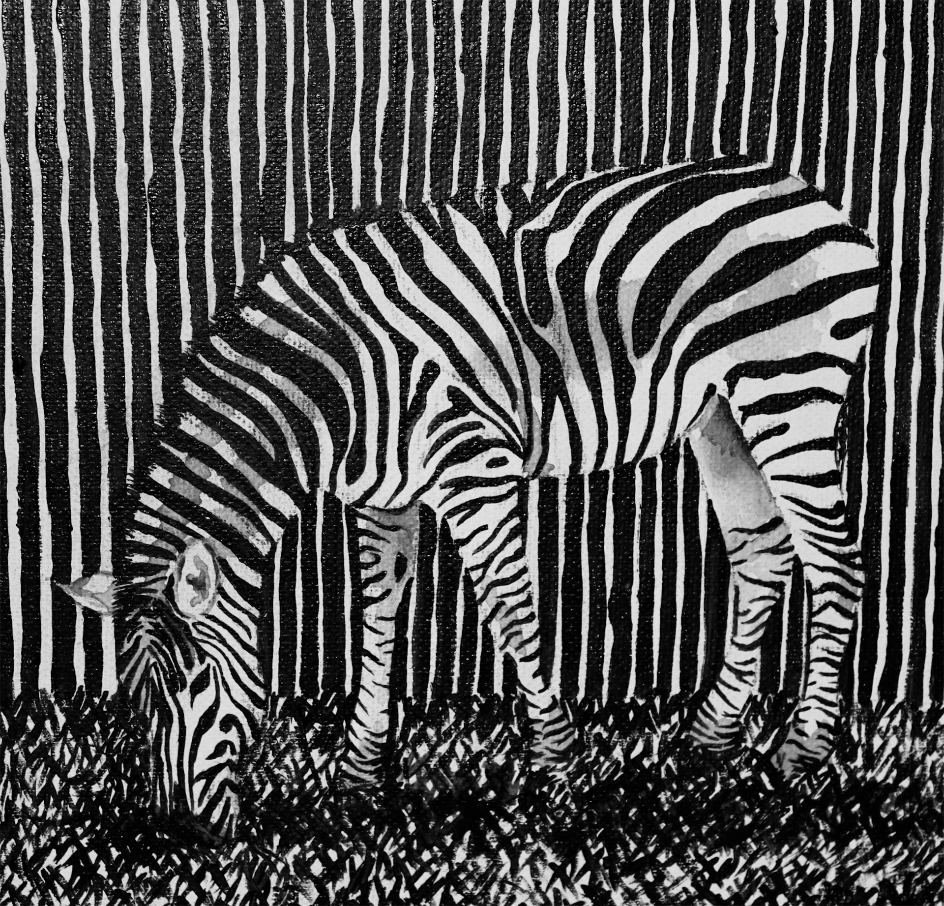Zebra Print Meaning Zebra Print Meaning